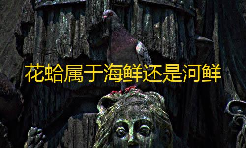 暗区突围透视工具花蛤属于海鲜还是河鲜